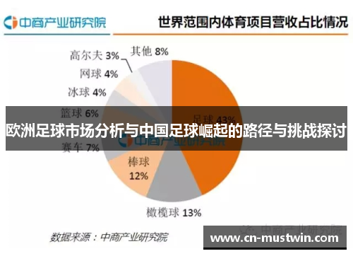 欧洲足球市场分析与中国足球崛起的路径与挑战探讨