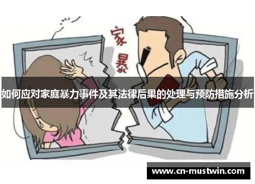 如何应对家庭暴力事件及其法律后果的处理与预防措施分析