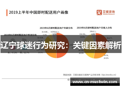 辽宁球迷行为研究：关键因素解析
