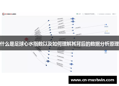 什么是足球心水指数以及如何理解其背后的数据分析原理