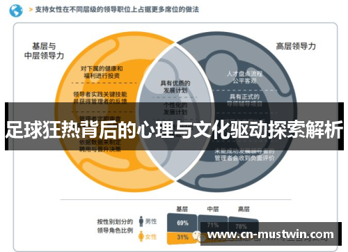 足球狂热背后的心理与文化驱动探索解析