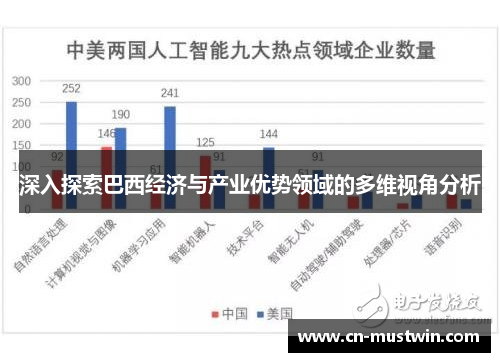 深入探索巴西经济与产业优势领域的多维视角分析